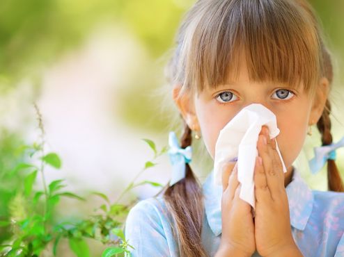 Multiplexové vyšetření na alergie ALLERGY Q